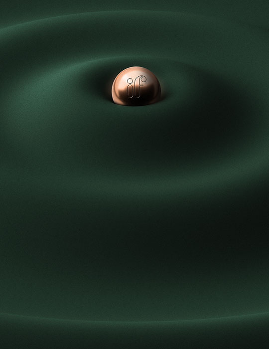 IFCHIC Points Reward Program