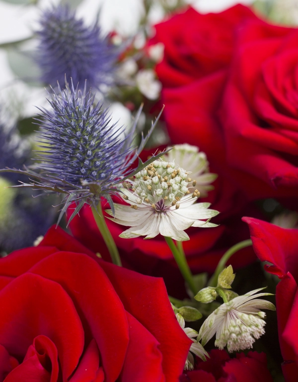 honeyDANIELS Love Evermore Flower Box Arrangements