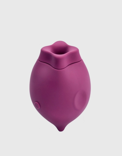 The Poet Sexual Wellness Clitoral Suction Vibrator