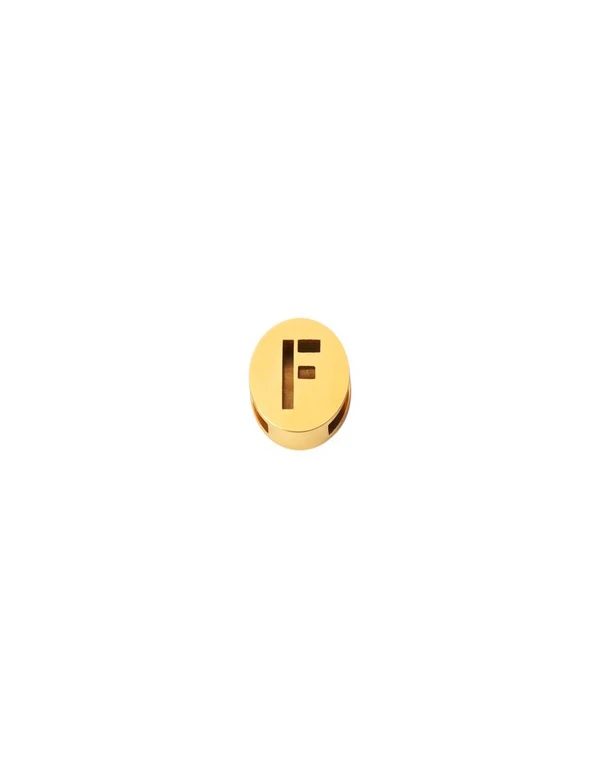 Ruifier Jewelry  Pick Me F Charm 18ct Yellow Gold Plated