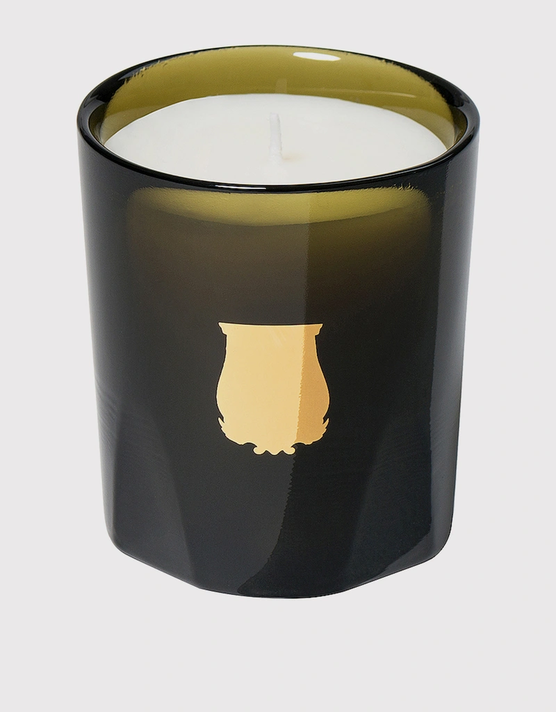 新品）Cire Trudon ミニキャンドル Ernesto 70g Cire Trudon Ernesto Petite Scented Candle 70g (キャンドル) IFCHIC.COM