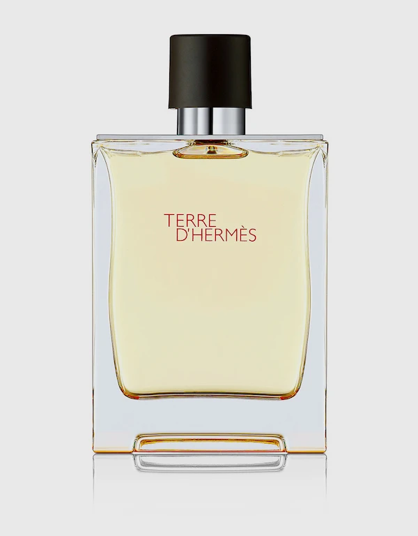 Hermès Beauty Terre d'Hermes For Men Eau de toilette 200ml