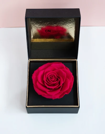唯一單朵玫瑰黑金恆星禮盒-熱情粉