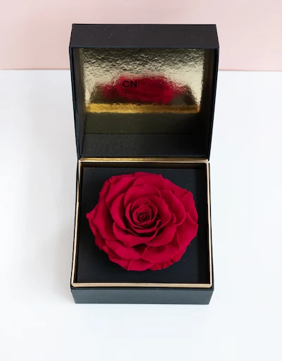 唯一單朵玫瑰黑金恆星禮盒-緋紅