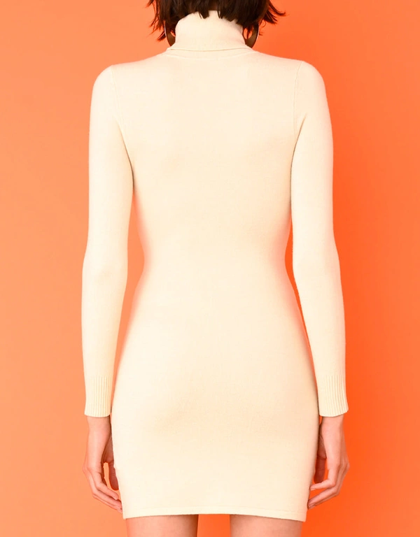 Long Sleeve Turtleneck Mini Dress