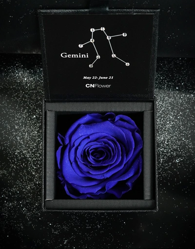 Gemini 2.0 Eternal Flower-Excellent Blue
