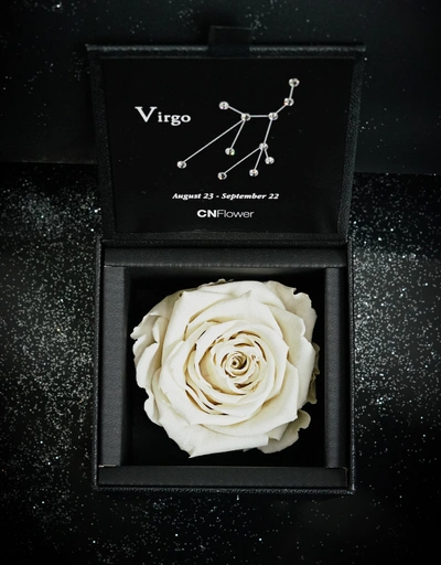 Virgo 2.0 Eternal Flower-Platinum White