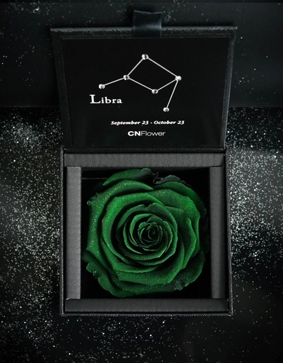 Libra 2.0 Eternal Flower-Persian Green
