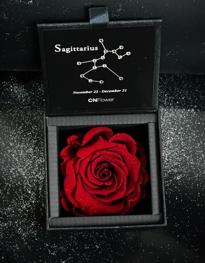 Sagittarius 2.0 Eternal Flower-Antique Red