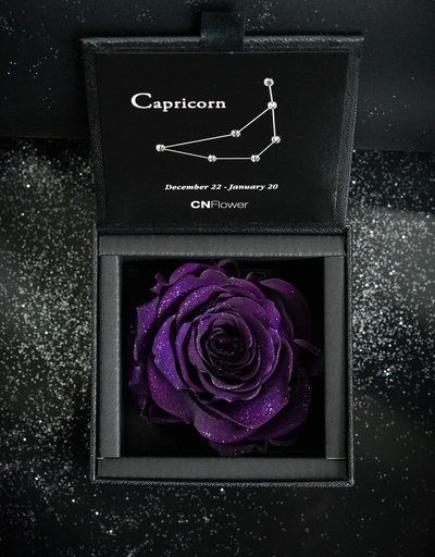 Capricorn 2.0 Eternal Flower-Royal Purple
