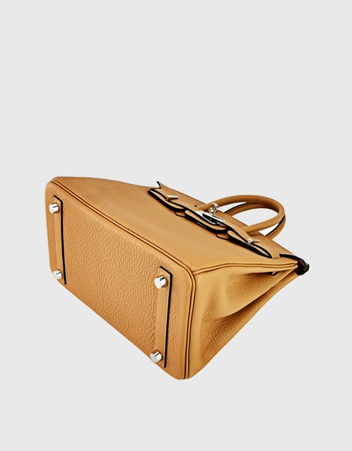 Hermès - Hermès Birkin 25 Togo Leather Handbag-Biscuit Silver Hardward