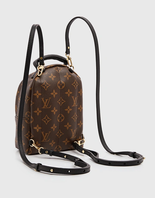 Louis Vuitton Mini Reverse Monogram Palm Springs Backpack  Coco Approved  Studio