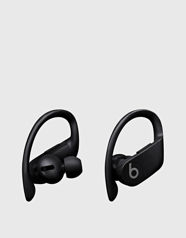 Beats Powerbeats Pro True Wireless Earbuds-Black