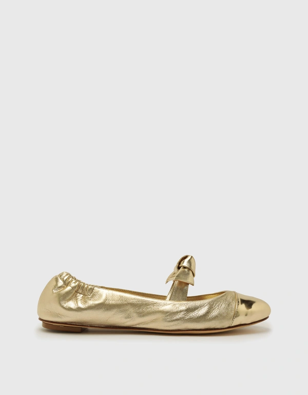 Alexandre Birman Clarita 平底芭蕾舞鞋-Gold
