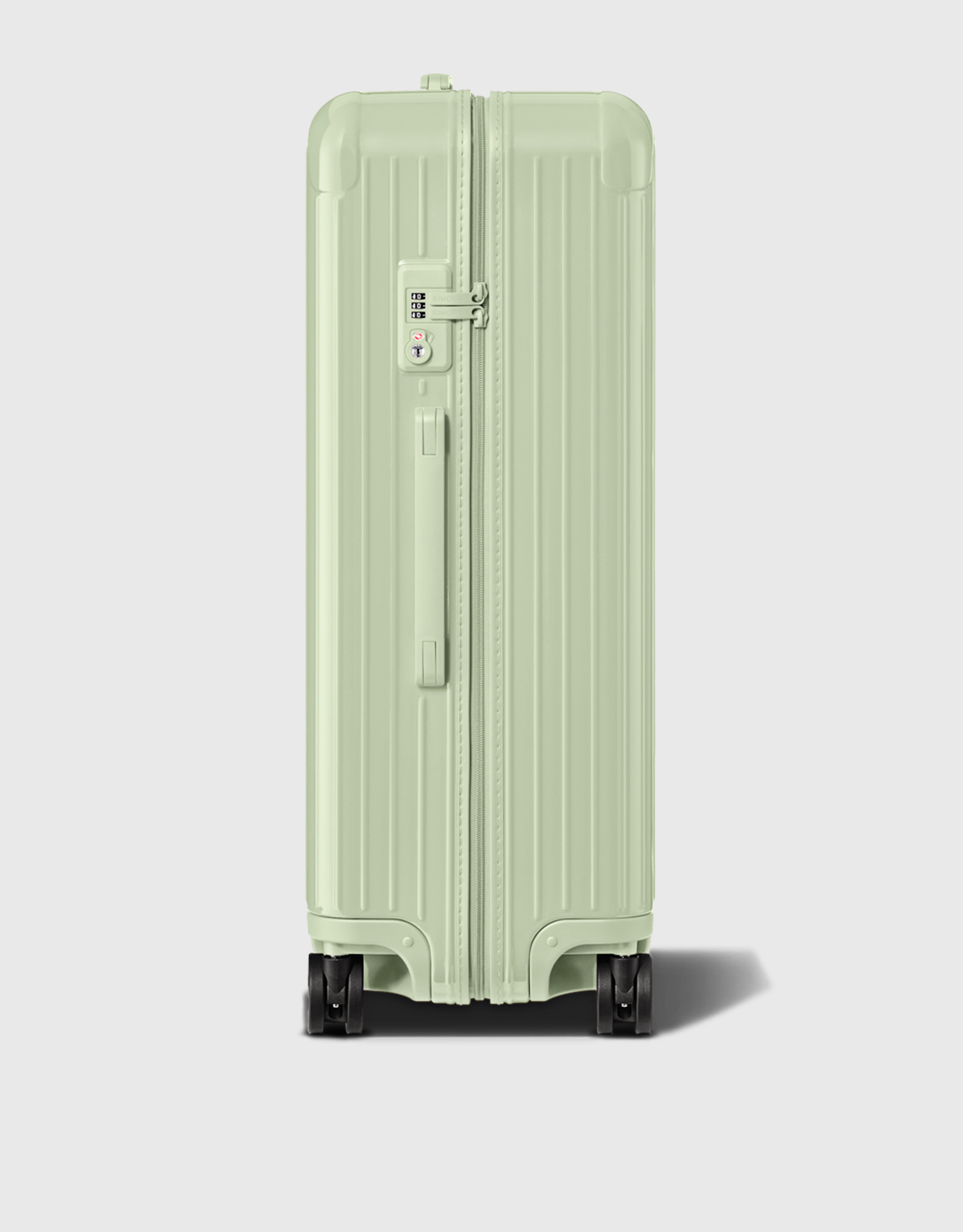 3179702.jpg