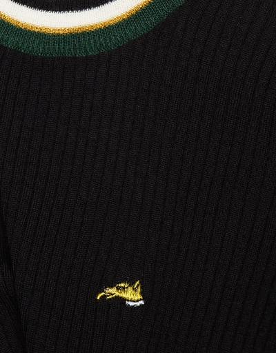 Merino Wool Race Track Striped High Neck Sweater 