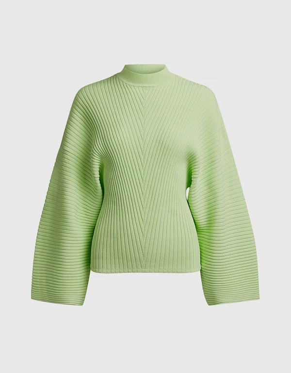 Rayniel Ribbed-knit Sweater