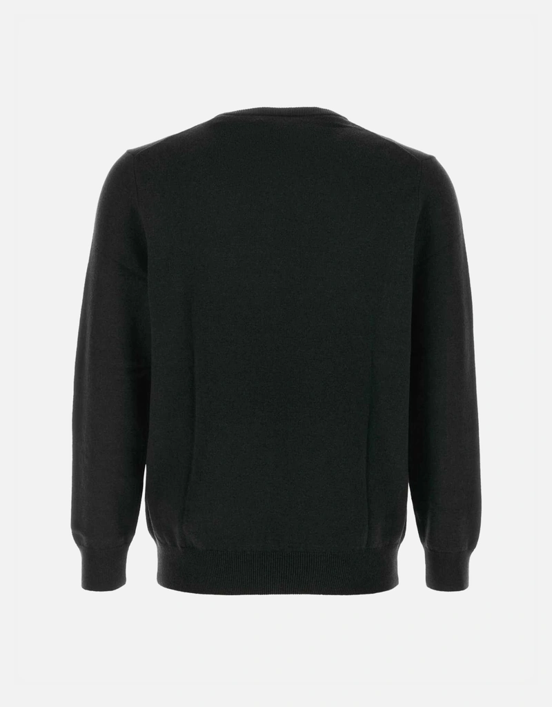Polo Ralph Lauren メンズウールセーター (ニットウェア) IFCHIC.COM