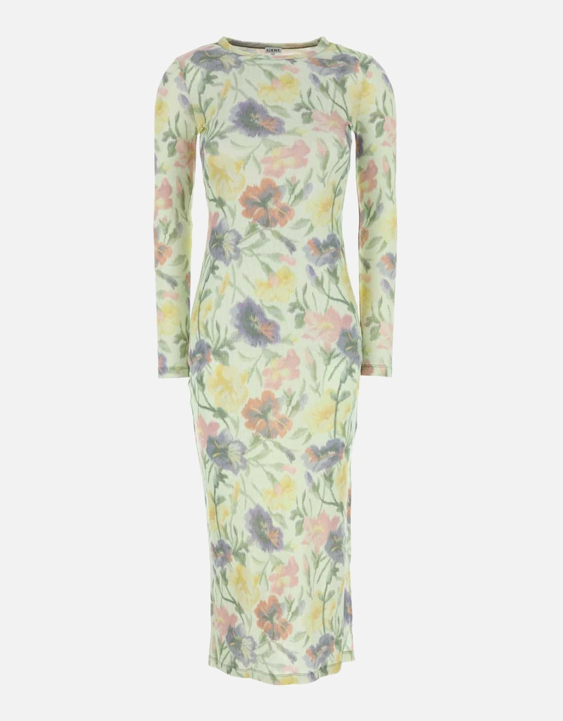 Loewe Silk Cotton Printed Fitted Dress () IFCHIC.COM