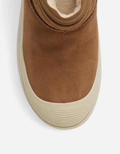Ugg 新作・セール | IFCHIC ジャパン公式サイト