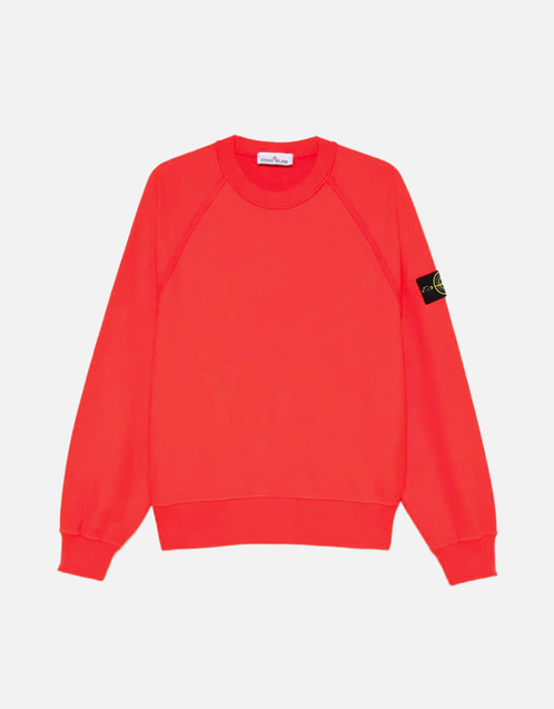 Stone Island メンズ オーガニックコットン 起毛 スウェットシャツ