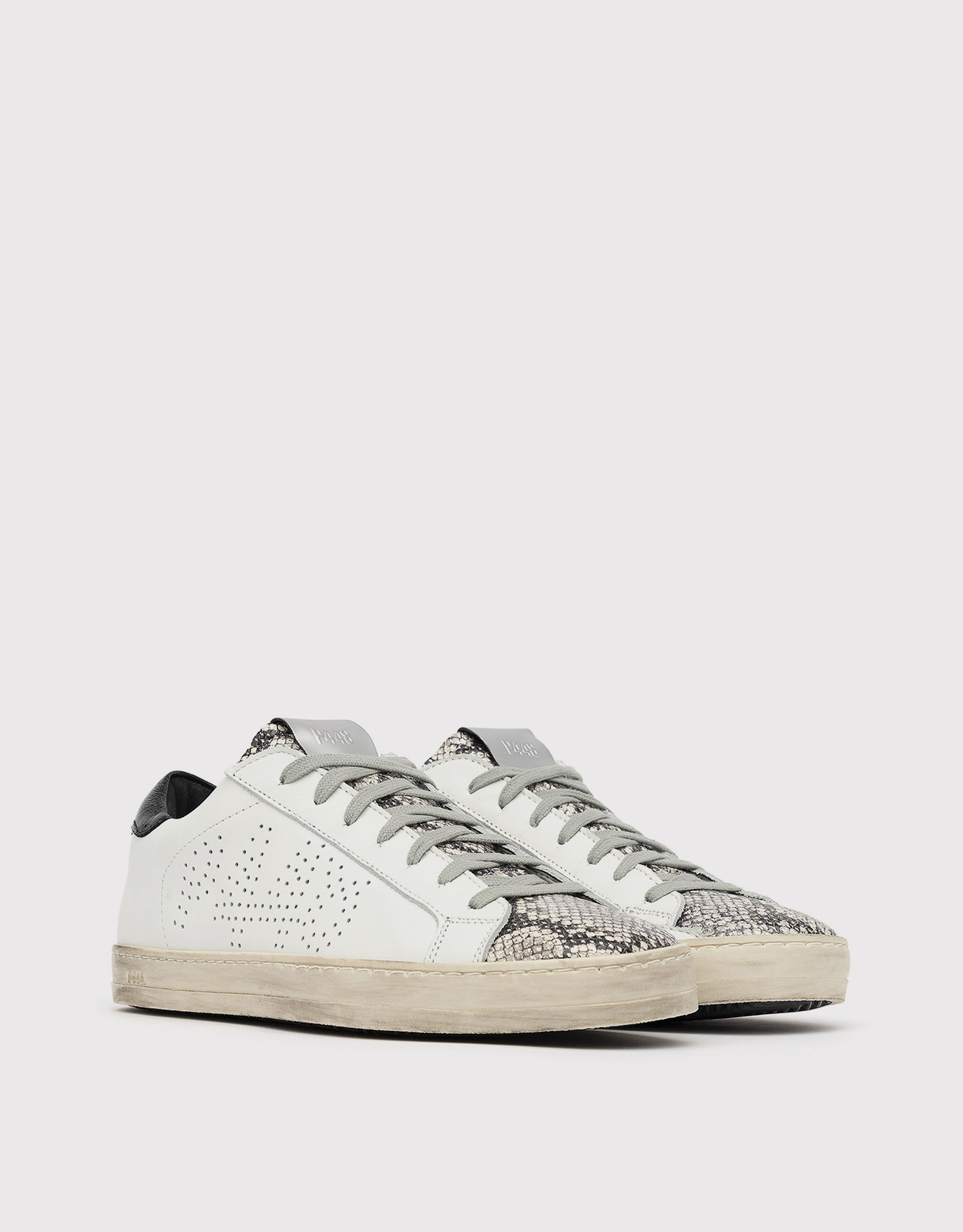 p448 john silver python