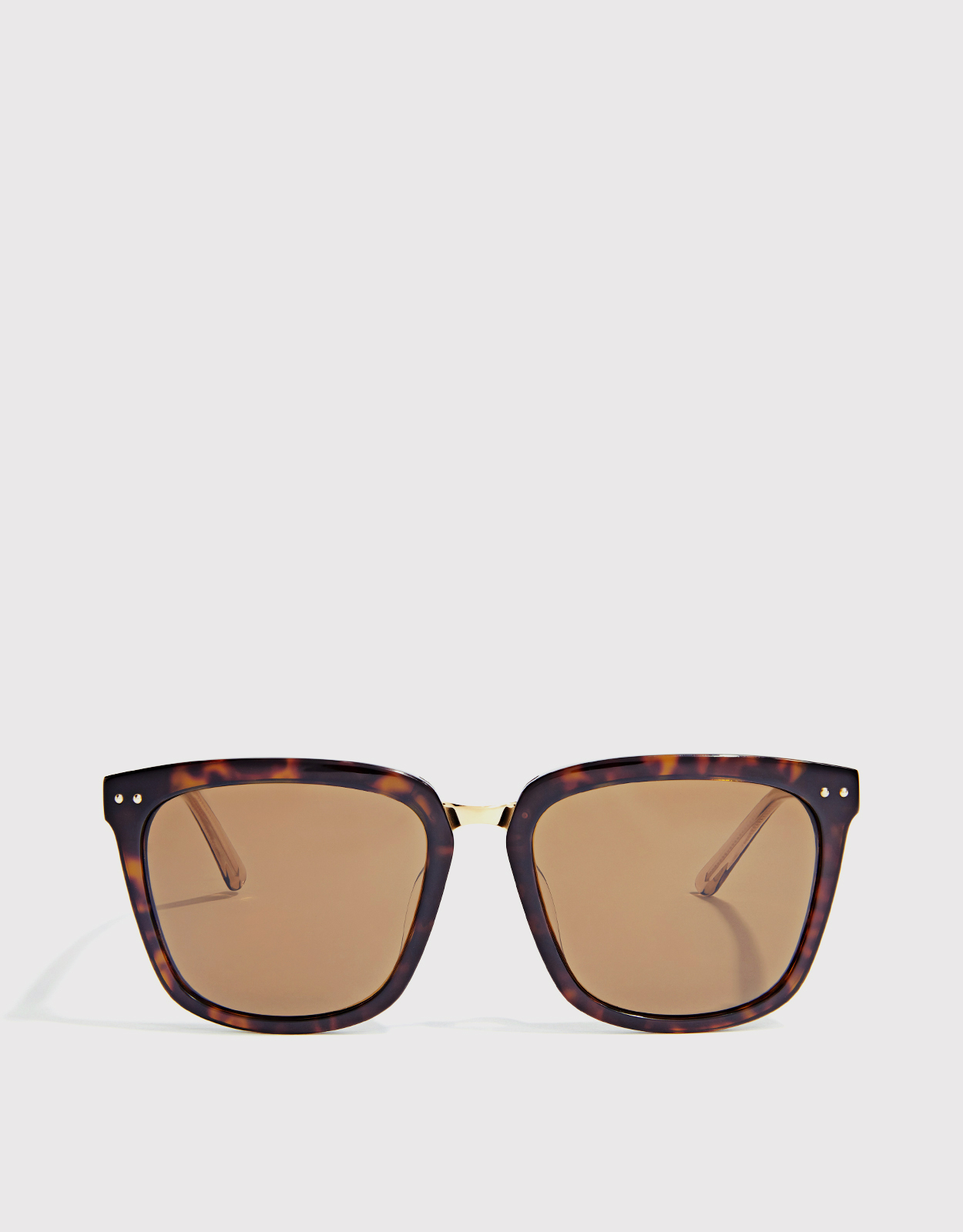 Bottega Veneta Tortoise Square Sunglasses　ボッテガ・ヴェネタ トータス スクエア サングラス Bottega