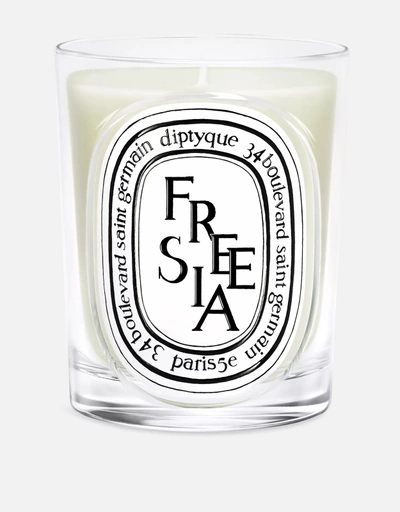 Diptyque Baies Scented Candle 190g (Candles) IFCHIC.COM