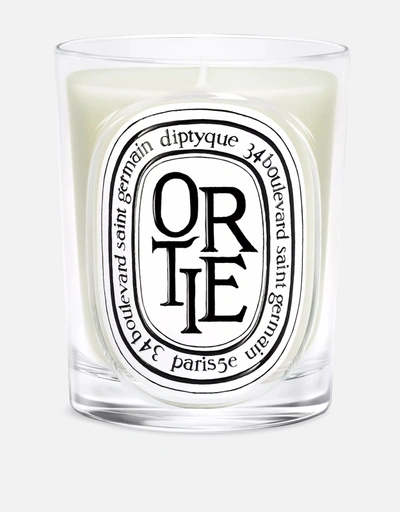 Diptyque カフェ香りキャンドル190g () IFCHIC.COM
