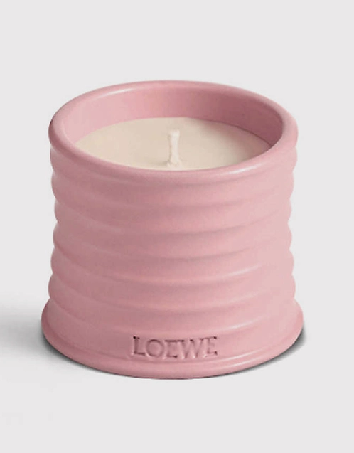 Ivy Small Scented Candle 170g