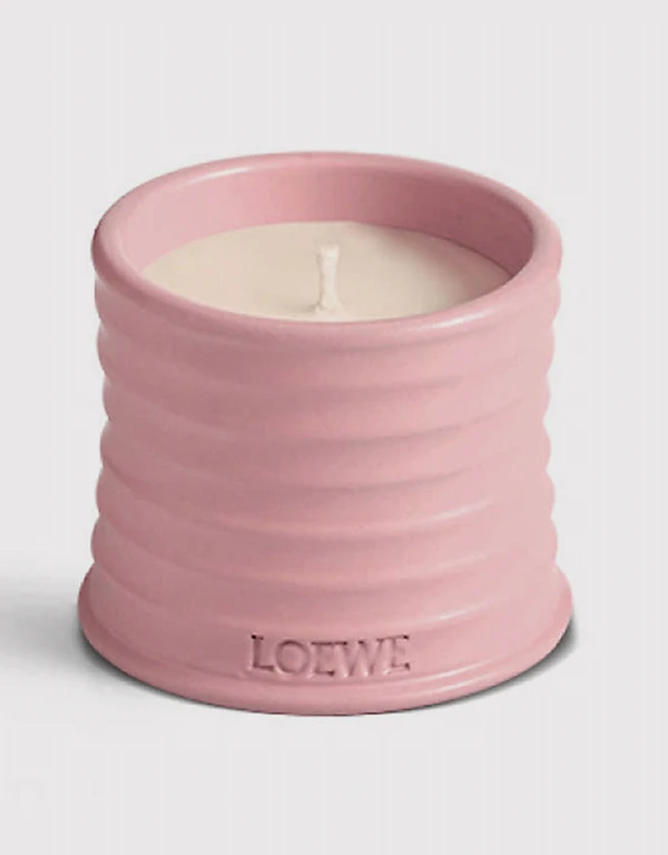 Loewe Beauty Ivy Small Scented Candle 170g