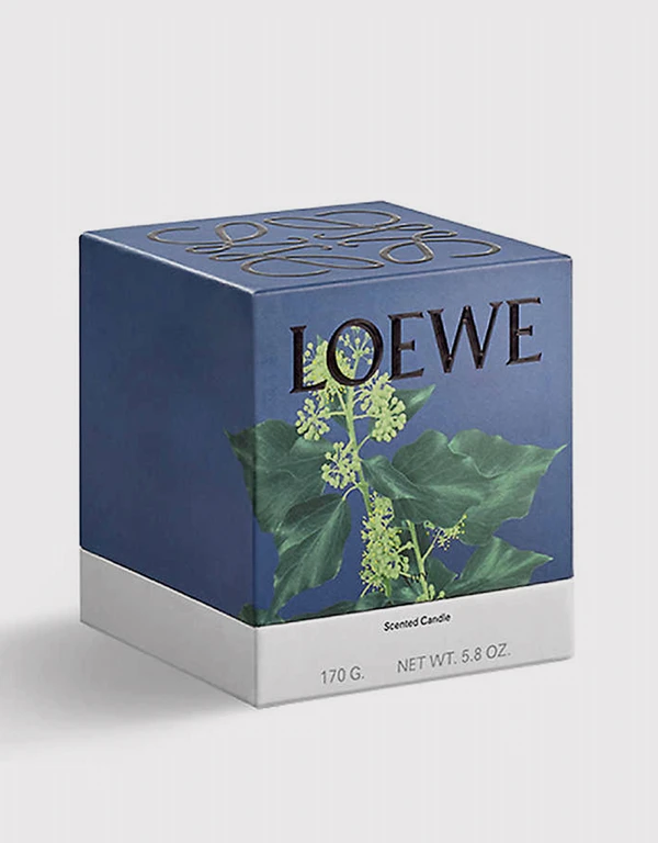 Loewe Beauty Ivy 小號香氛蠟燭 170 g