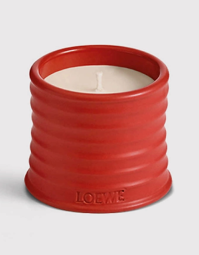 Tomato Leaves Scented Candle 170g