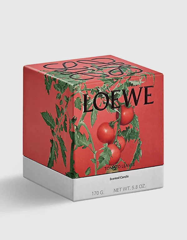 Loewe Beauty Tomato Leaves Scented Candle 170g