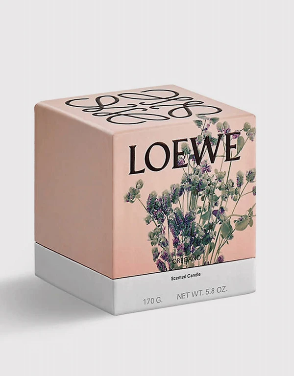 Loewe Beauty Oregano Scented Candle 170g