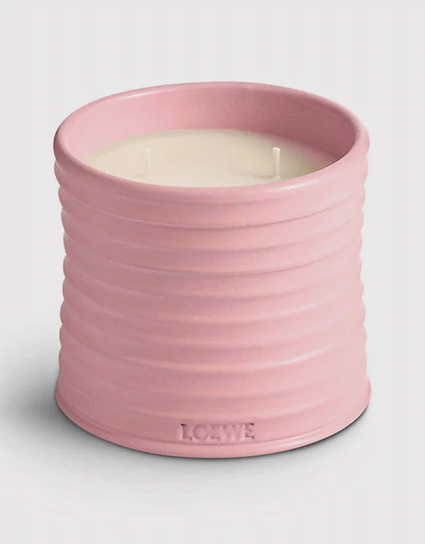 Loewe Beauty Ivy Medium Candle 610g