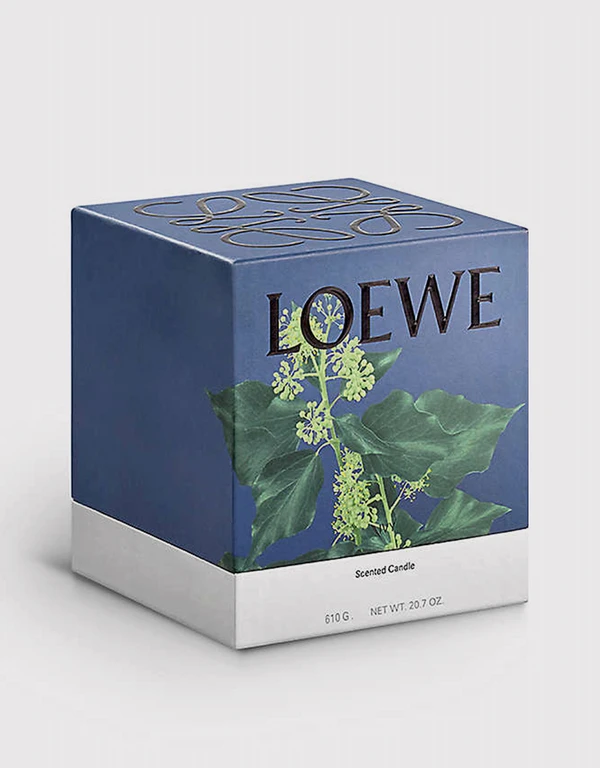 Loewe Beauty Ivy 中號蠟燭 610g
