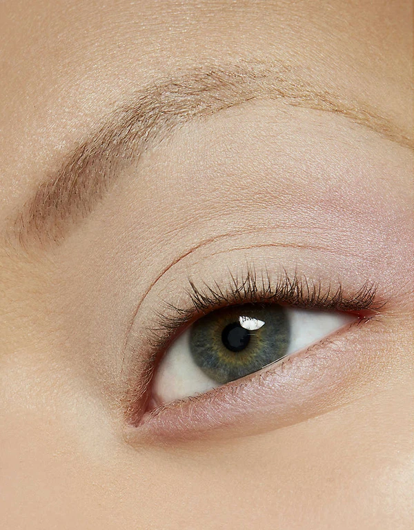 MAC Cosmetics Eyeshadow-Brule