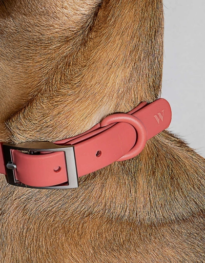 Matte Woven Dog Collar