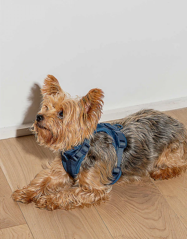 Wild One Cushioned Woven Harness